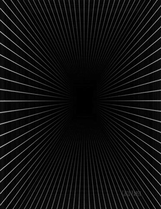 Grid Paper: Quad Rule Graph Paper,8.5 X 11 (4X4 Graph Paper) 100 Pages-..