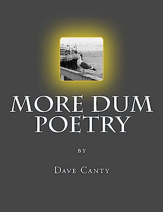 More Dum Poetry-..
