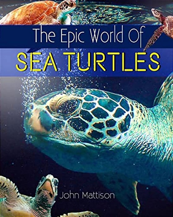 The Epic World Of Sea Turtles-..