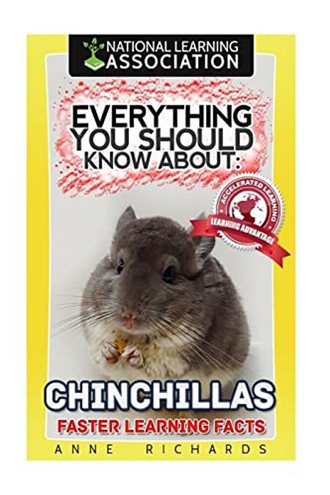 Everything You Should Know About: Chinchillas-..
