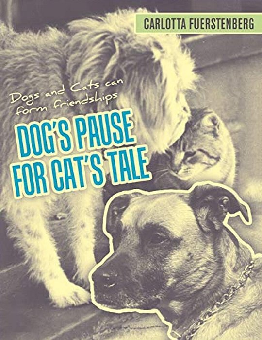 Dog's Pause For Cat's Tale: Dogs And Cats Can Form Friendships-..