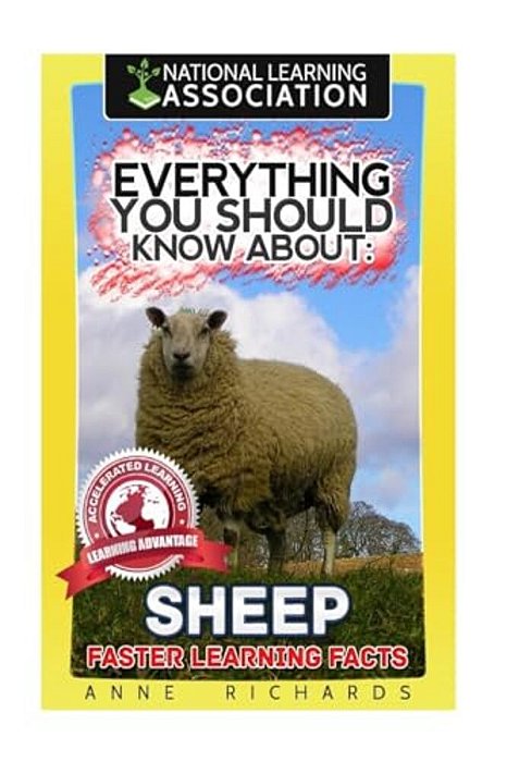 Everything You Should Know About: Sheep-..