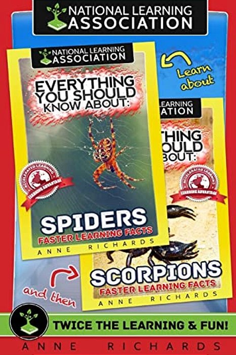 Everything You Should Know About: Scorpions And Spiders-..