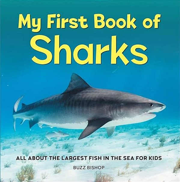 My First Book Of Sharks: All About The Largest Fish In The Sea For Kids-..