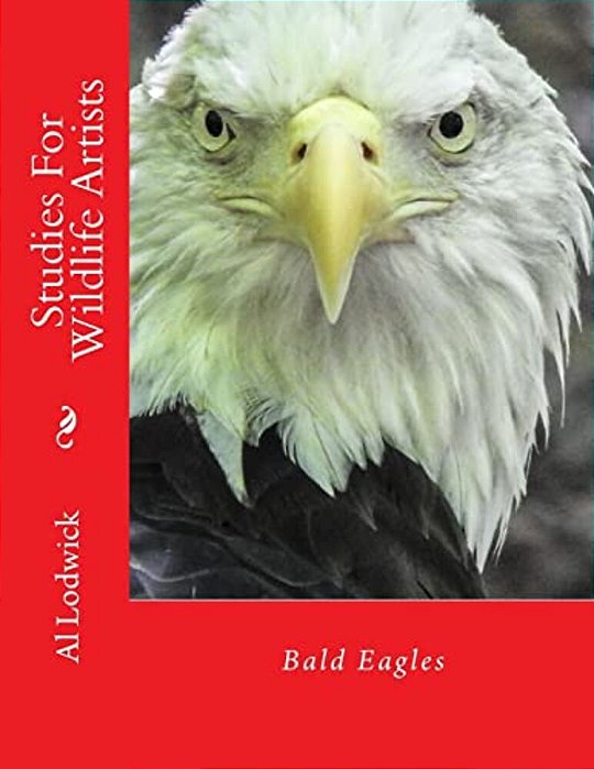Bald Eagles: Studies For Wildlife Artists-..