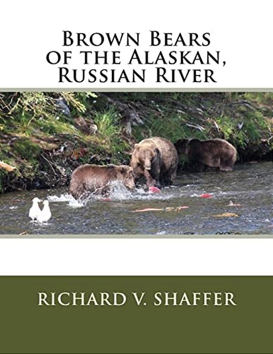 Brown Bears Of The Alaskan, Russian River: Brown Bears Of The Alaskan, Russian River-..