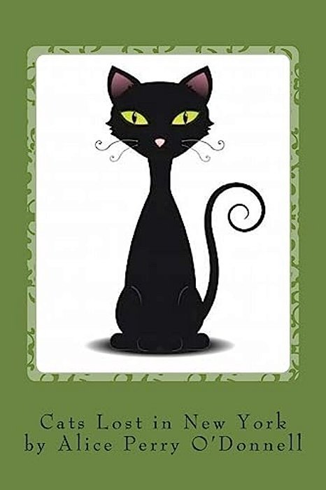 Cats Lost In New York-..