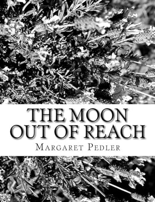 The Moon Out Of Reach-..