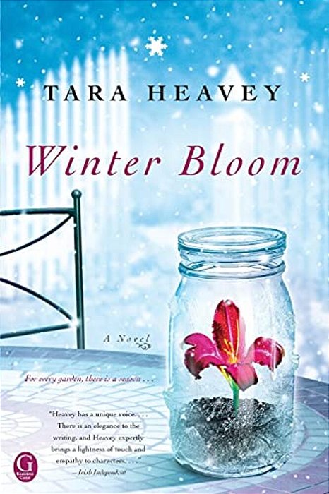 Winter Bloom-..