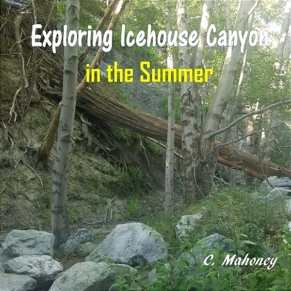 Exploring Icehouse Canyon In The Summer-..