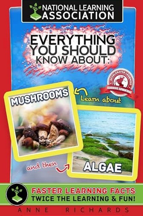 Everything You Should Know About Mushrooms And Algae-..