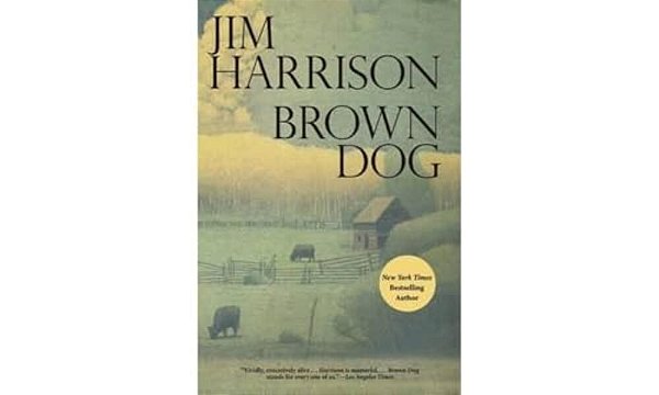 Brown Dog-..