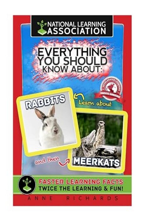 Everything You Should Know About: Rabbits And Meerkats-..