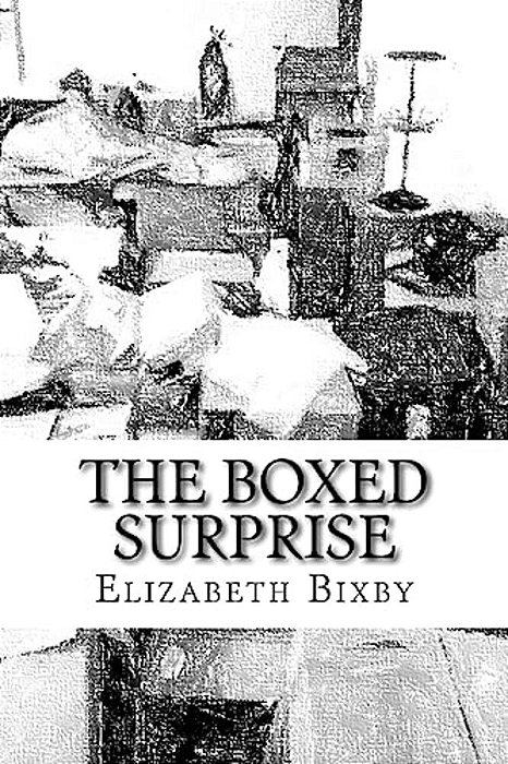 The Boxed Surpirse-..
