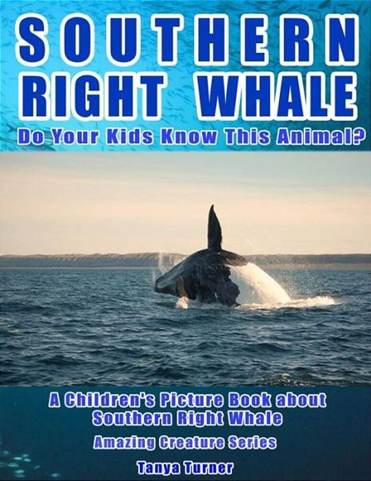 Southern Right Whale: Do Your Kids Know This Animal?: A Children's Picture Book About Southern Right Whale-..