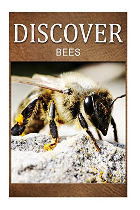 Bees - Discover: Early Reader's Wildlife Photography Book-..