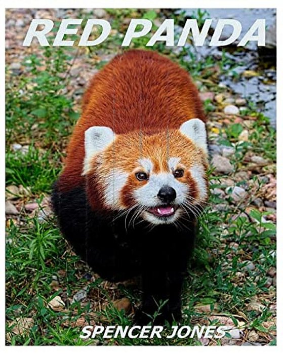 Red Panda: Learn About Red Pandas-Amazing Pictures & Fun Facts-..