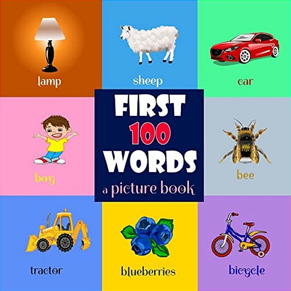 First 100 Words. A Picture Book For Baby-..