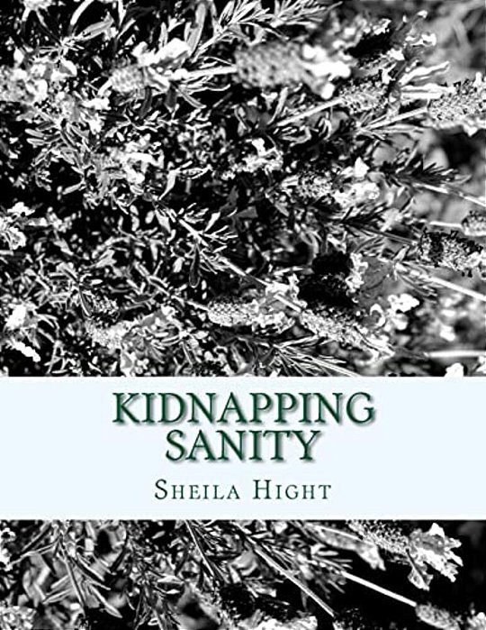 Kidnapping Sanity-..