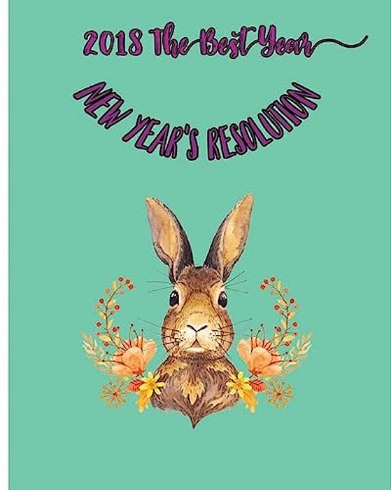 2018 The Best Year: New Year's Resolution-..