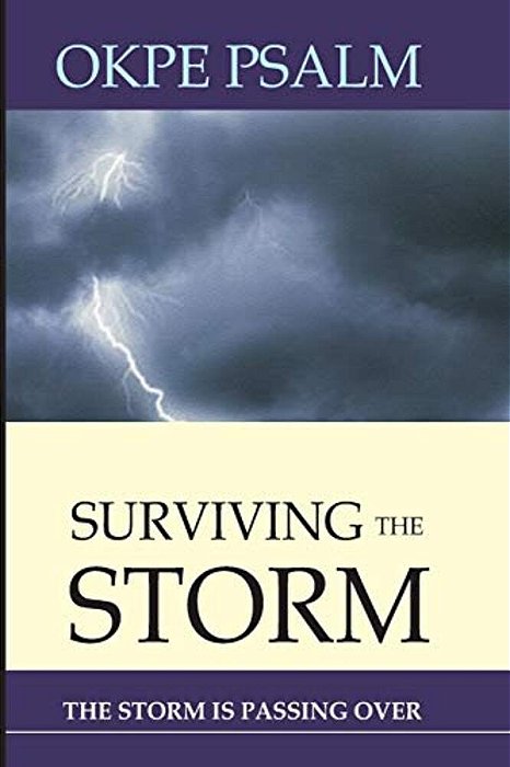 Surviving The Storm: The Storm Is Passing Over-..