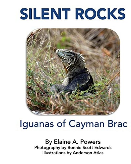 Silent Rocks: Iguanas Of Cayman Brac-..