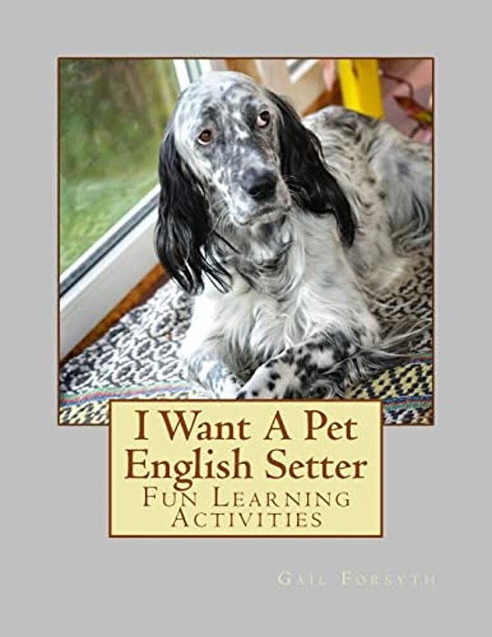 I Want A Pet English Setter: Fun Learning Activities-..