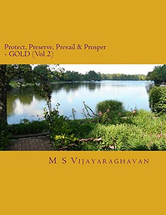 Protect, Preserve, Prevail And Prosper - Gold (Vol 2): Business Protection Compendium From Disasters-..