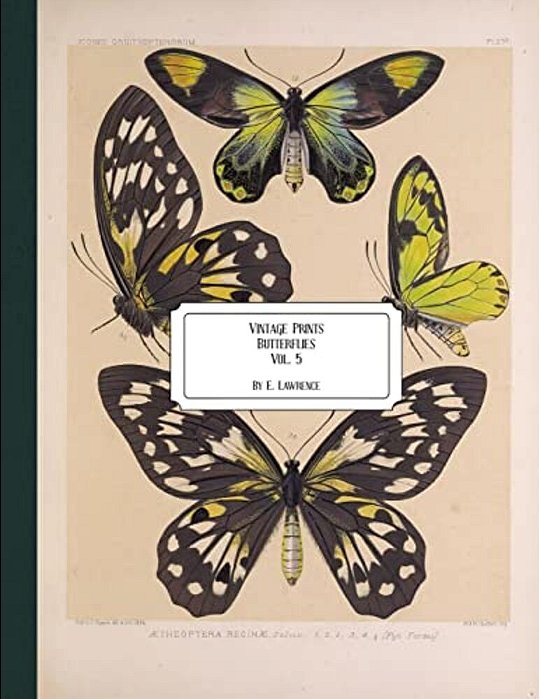 Vintage Prints: Butterflies: Vol. 5-..