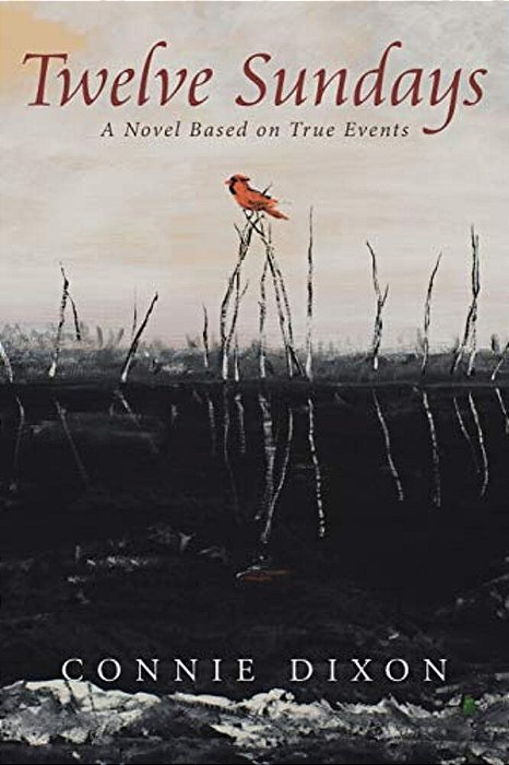 Twelve Sundays: A Novel Based On True Events-..