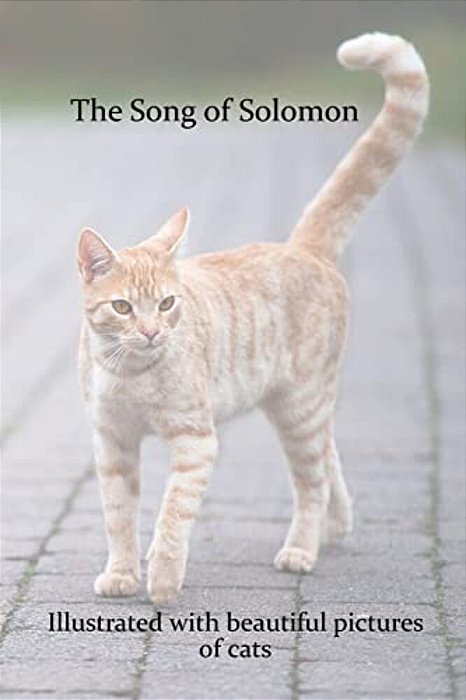 The Song Of Solomon: Illustrated With Beautiful Pictures Of Cats-..