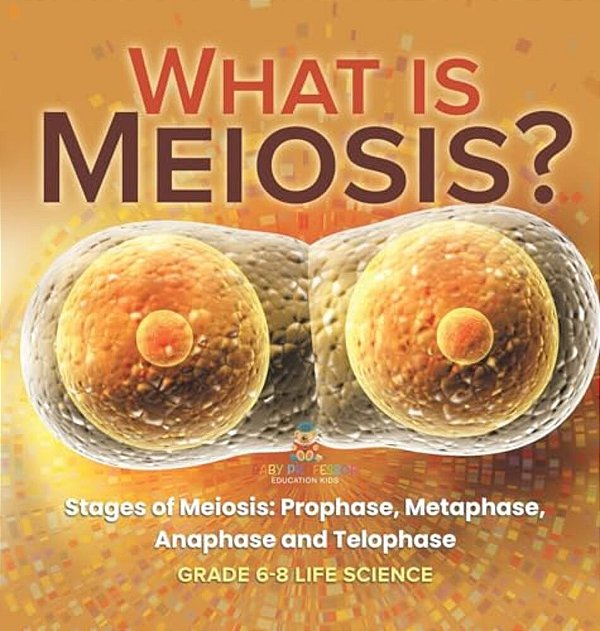 What Is Meiosis? Stages Of Meiosis, Prophase, Metaphase, Anaphase And Telophase Grade 6-8 Life Science-..