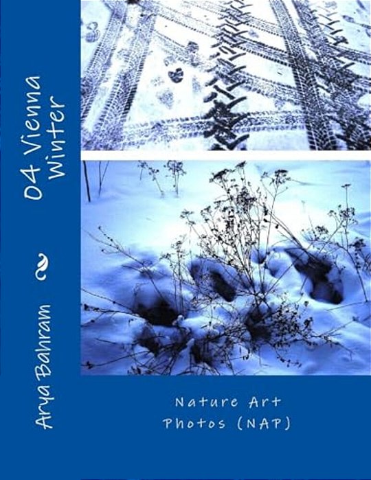 04 Vienna Winter: Nature Art Photos (Nap)-..