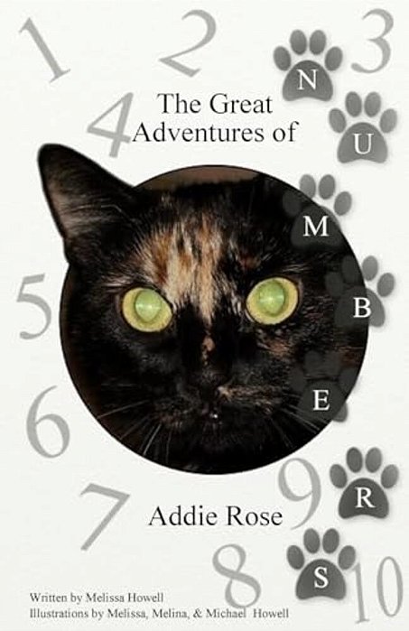 The Great Adventures Of Addie Rose Numbers: Numbers-..