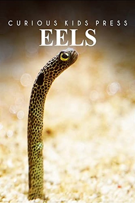 Eels - Curious Kids Press: Kids Book About Animals And Wildlife, Children's Books 4-6-..
