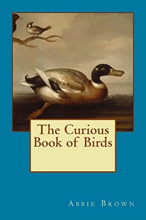 Curious Book Of Birds-..