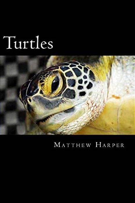 Turtles: A Fascinating Book Containing Turtle Facts, Trivia, Images & Memory Recall Quiz: Suitable For Adults & Children-..