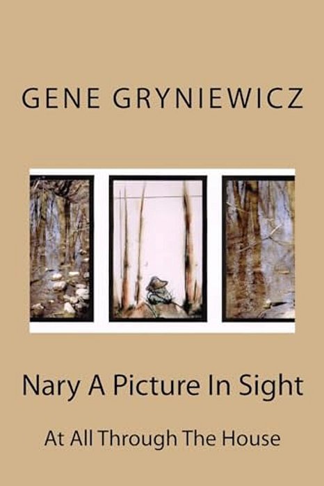 Nary A Picture In Sight: At All Through The House-..