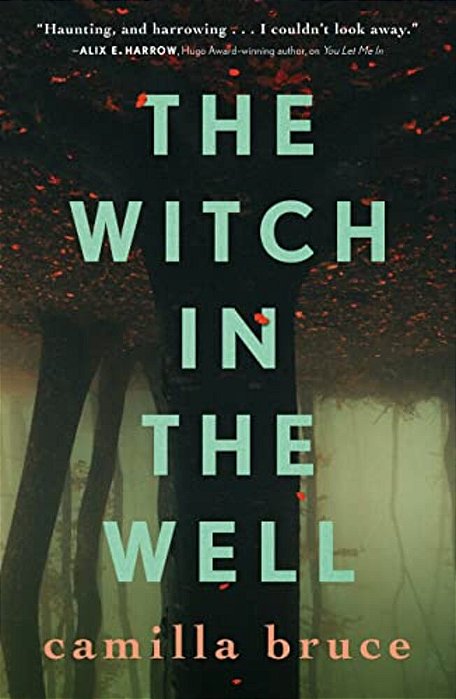 The Witch In The Well-..