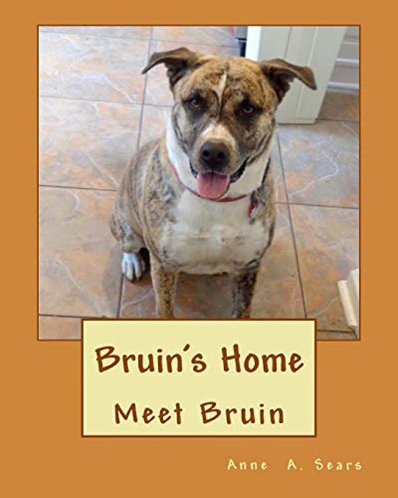 Bruin's Home: Meet Bruin-..