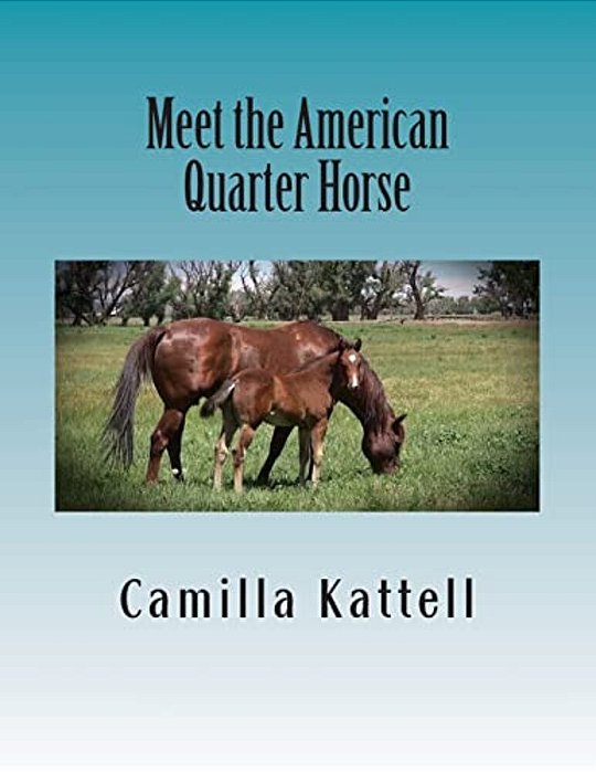 Meet The American Quarter Horse-..