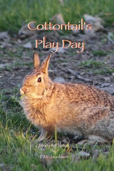 Cottontail's Play Day-..