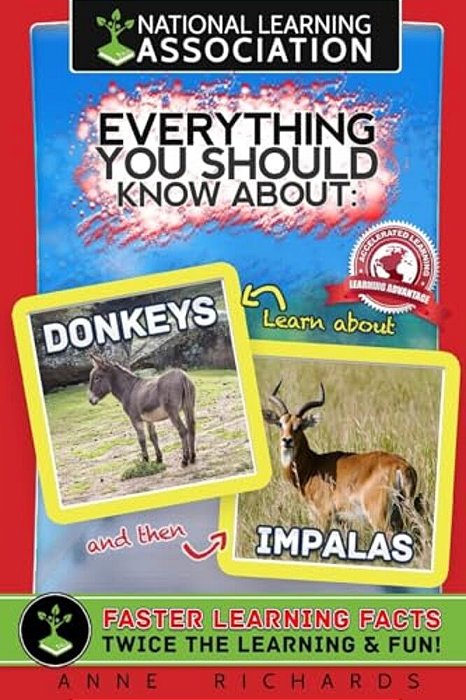Everything You Should Know About Donkeys And Impalas-..