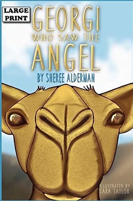 Georgi Who Saw The Angel: Large Print Edition-..