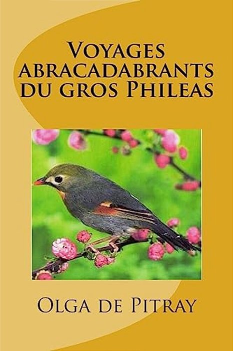 Voyages Abracadabrants Du Gros Phileas-..