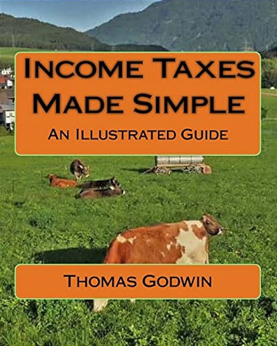 Income Taxes Made Simple: An Illustrated Guide-..