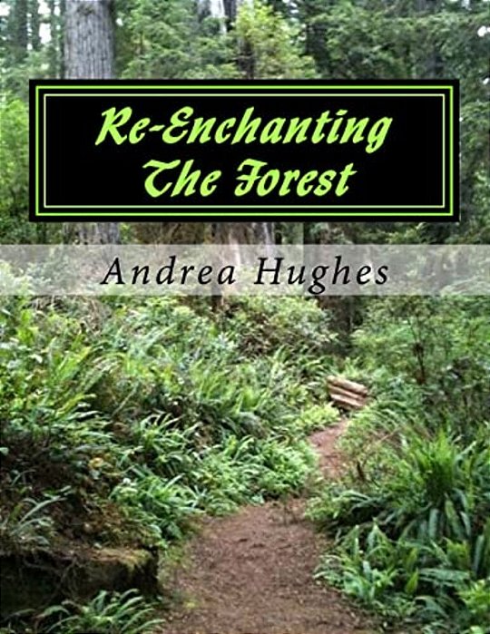 Re-Enchanting The Forest-..
