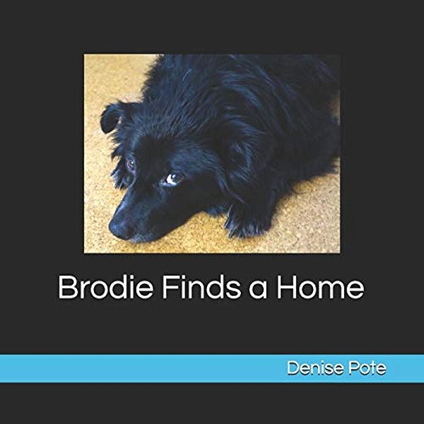 Brodie Finds A Home: Book 1-..