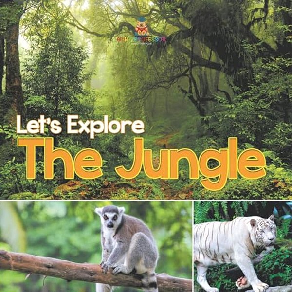 Let's Explore The Jungle-..
