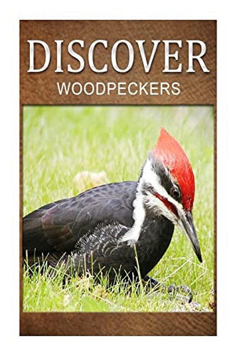 Woodpeckers - Discover: Early Reader's Wildlife Photography Book-..